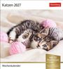 "Katzen 2027", "Wochenkalender", "Mit 53 Postkarten", "zum Heraustrennen". Ein Kätzchen spielt mit rosa Wollknäueln.