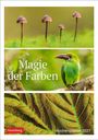 "Magie der Farben", "Wochenplaner 2027". Ein grüner Vogel und Pilze auf hellgrünem Hintergrund.