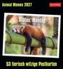 Text: "Animal Memes 2027", "Status: Montag", "53 tierisch witzige Postkarten". Ein roter Panda liegt entspannt auf einem Ast.