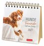 Hunde Premium-Postkartenkalender 2027 - Freunde auf vier Pfoten; Kalender mit 53 Postkarten, KAL