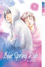 Io Sakisaka: Blue Spring Ride 2in1 05, Buch