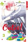 Nakaba Harufuji: You're My Cutie! 03, Buch