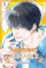 Rin Mikimoto: Lightning and Romance 05, Buch