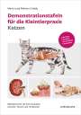 María Luisa Palmero Colado: Demonstrationstafeln für die Kleintierpraxis Katzen, Buch