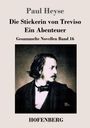 Paul Heyse: Die Stickerin von Treviso / Ein Abenteuer, Buch