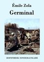 Émile Zola: Germinal, Buch