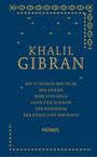 Khalil Gibran: Sämtliche Werke Band 3, Buch