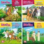 : 4er-Set Maxi-Mini 55: Bibi &Tina, Buch