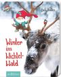 Outi Kaden: Winter im Wichtelwald, Buch