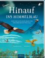 Gianumberto Accinelli: Hinauf ins Himmelblau, Buch
