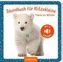 : Soundbuch für Klitzekleine - Tiere im Winter, Buch