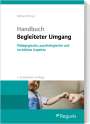 Janna Beckmann: Handbuch Begleiteter Umgang, Buch