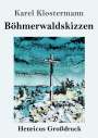 Karel Klostermann: Böhmerwaldskizzen (Großdruck), Buch