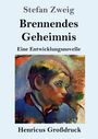 Stefan Zweig: Brennendes Geheimnis (Großdruck), Buch