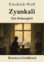 Friedrich Wolf: Zyankali (Großdruck), Buch