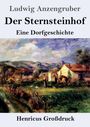 „Ludwig Anzengruber, Der Sternsteinhof, Eine Dorfgeschichte, Henricus Großdruck.“ Illustration: Landschaft mit Haus.
