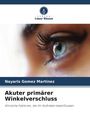 "Nayaris Gomez Martinez: Akuter primärer Winkelverschluss. Klinische Faktoren, die ihr Auftreten beeinflussen." Nahaufnahme eines Auges.