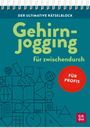"Gehirnjogging für zwischendurch, Für Profis". Stilisiertes Design mit Symbolen wie Globen, Gehirn und Glühbirnen.