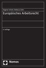 Dagmar Schiek: Europäisches Arbeitsrecht, Buch