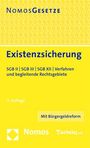 : Existenzsicherung, Buch