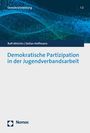 Rolf Ahlrichs: Demokratische Partizipation in der Jugendverbandsarbeit, Buch