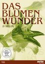 Max Reichmann: Das Blumenwunder, DVD