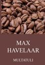 Multatuli: Max Havelaar, Buch