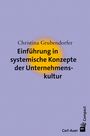 Christina Grubendorfer: Einführung in systemische Konzepte der Unternehmenskultur, Buch