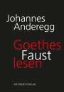 Johannes Anderegg: Goethes Faust lesen, Buch