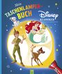 Schwager & Steinlein Verlag: Mein Taschenlampenbuch Disney Klassiker, Buch