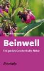 Hans Pechatschek: Beinwell, Buch
