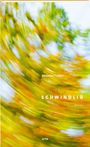 Christine Fischer: Schwindlig, Buch
