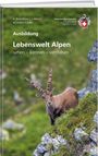 "Lebenswelt Alpen: sehen – kennen – verstehen. Ausbildung. Autoren: A. Rosenkranz, J. Meyer, M. Lüthi, F. Zoller." Ein Steinbock auf einem felsigen, grünen Hang. Logo des Schweizer Alpen-Clubs.