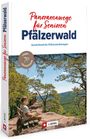 Albrecht Ritter: Panoramawege für Senioren Pfälzerwald, Buch