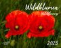 : Wildblumen 2025 Großformat-Kalender 58 x 45,5 cm, KAL