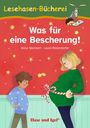Anne Steinwart: Was für eine Bescherung! Schulausgabe, Buch