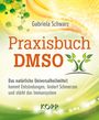 Gabriela Schwarz: Praxisbuch DMSO, Buch