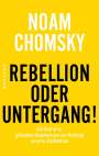 Noam Chomsky: Rebellion oder Untergang!, Buch