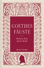 : Goethes Fäuste, Buch