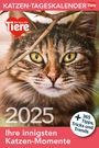 : Katzen Tageskalender 2025, KAL