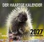 „DER HAARIGE KALENDER“, „2027 WOCHENKALENDER“. Stachelschwein mit gesträubten Stacheln im Freien.