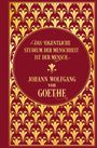 : Notizbuch Goethe, Buch