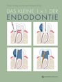 David Sonntag: Das kleine 1x1 der Endodontie, Buch