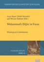: Muhammad's Higaz in Focus, Buch