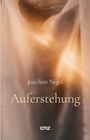 Joachim Negel: Auferstehung, Buch