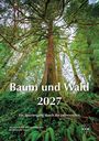 „Baum und Wald 2027: Ein Spaziergang durch die Jahreszeiten.“ Ein majestätischer Baum im Wald, umgeben von dichtem Grün.