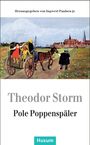 Theodor Storm: Pole Poppenspäler, Buch
