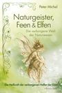 Michel: Naturgeister, Feen und Elfen, Buch
