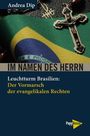 "Andrea Dip. IM NAMEN DES HERRN. Leuchtturm Brasilien: Der Vormarsch der evangelikalen Rechten." Ein Kreuz auf einer Flagge.