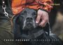„TREUE FREUNDE | KALENDER 2027“. Ein schwarzer Hund, dessen Kopf von einer Hand liebevoll gehalten wird.